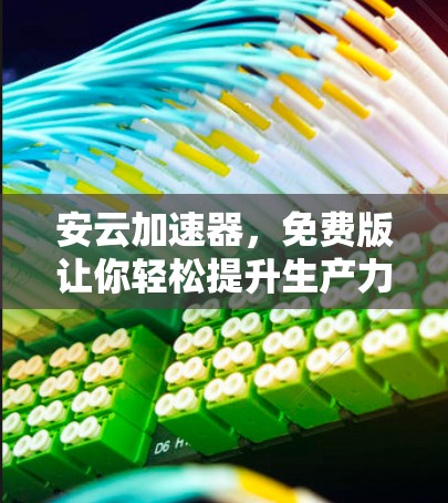 安云加速器，免费版让你轻松提升生产力