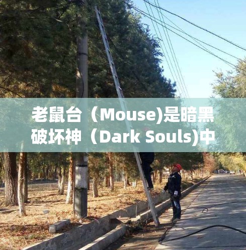 老鼠台(Mouse)是暗黑破坏神(Dark Souls)中的一个角色,但目前尚未完全实现加速器功能。这可能是因为老鼠台在更新中遇到了一些问题,或者游戏的开发团队尚未完全修复他的bug