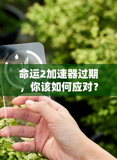 命运2加速器过期，你该如何应对？