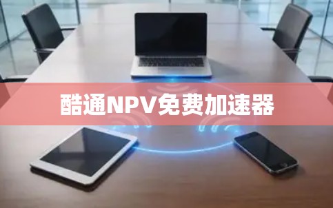 酷通NPV免费加速器