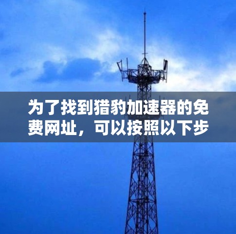 为了找到猎豹加速器的免费网址,可以按照以下步骤进行