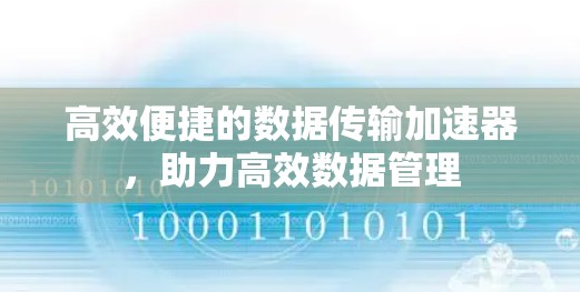 高效便捷的数据传输加速器,助力高效数据管理