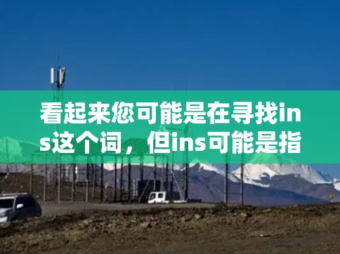 看起来您可能是在寻找ins这个词,但ins可能是指插件(插件管理工具)或者是一个拼写错误。如果您指的是插件或插件管理相关的内容,请提供更多的上下文或具体问题,我将尽力帮助您