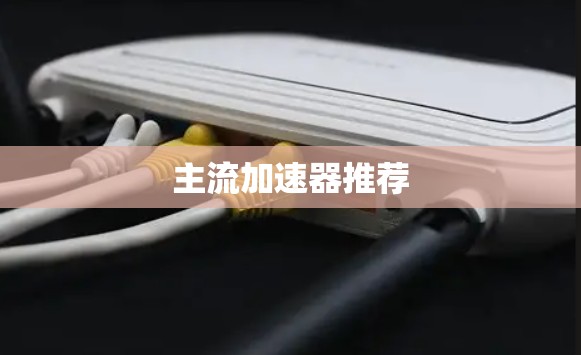 主流加速器推荐 主流加速器推荐