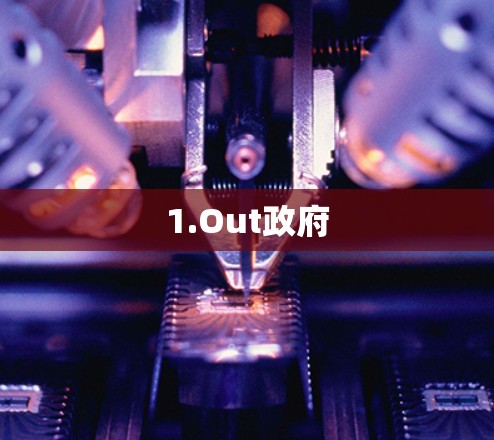 1.Out政府