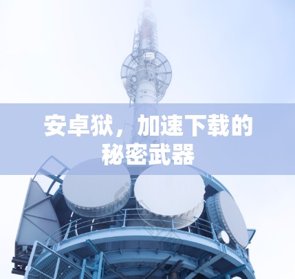 安卓狱,加速下载的秘密武器 安卓狱,加速下载的秘密武器