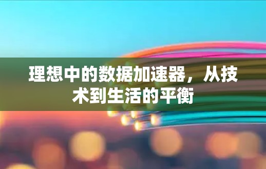 理想中的数据加速器,从技术到生活的平衡 理想中的数据加速器,从技术到生活的平衡