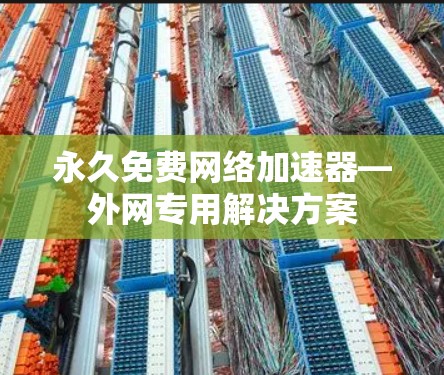 永久免费网络加速器—外网专用解决方案 永久免费网络加速器—外网专用解决方案