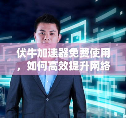 伏牛加速器免费使用，如何高效提升网络速度