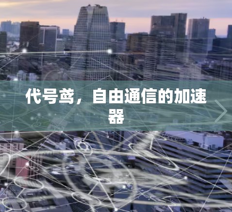代号鸢,自由通信的加速器 代号鸢,自由通信的加速器