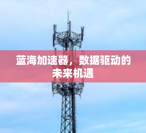 蓝海加速器,数据驱动的未来机遇 蓝海加速器,数据驱动的未来机遇