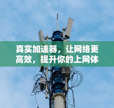 真实加速器,让网络更高效,提升你的上网体验 真实加速器,让网络更高效,提升你的上网体验