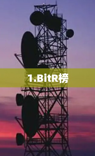 1.BitR榜 1.BitR榜