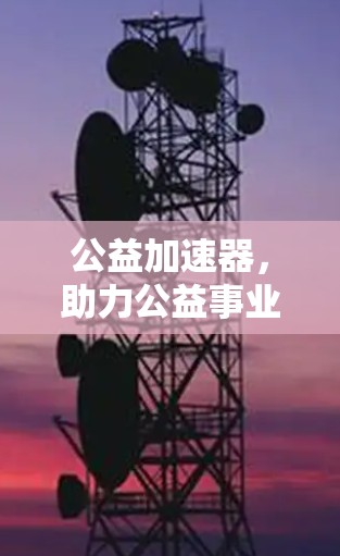 公益加速器,助力公益事业的高效 公益加速器,助力公益事业的高效