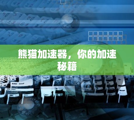 熊猫加速器,你的加速秘籍 熊猫加速器,你的加速秘籍