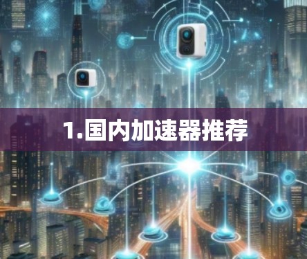 1.国内加速器推荐 1.国内加速器推荐