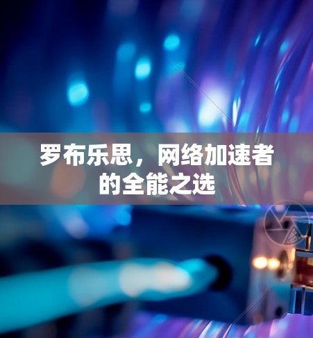 罗布乐思,网络加速者的全能之选 罗布乐思,网络加速者的全能之选