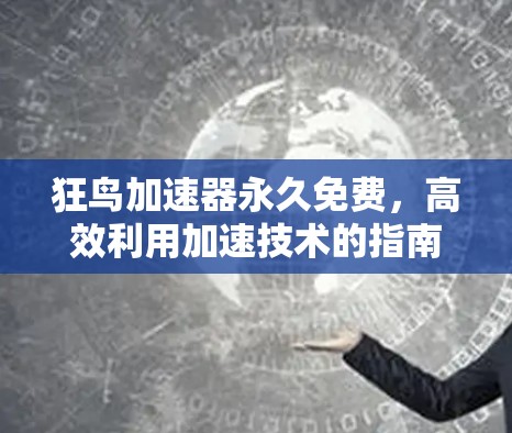 狂鸟加速器永久免费,高效利用加速技术的指南 狂鸟加速器永久免费,高效利用加速技术的指南