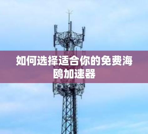 如何选择适合你的免费海鸥加速器 如何选择适合你的免费海鸥加速器