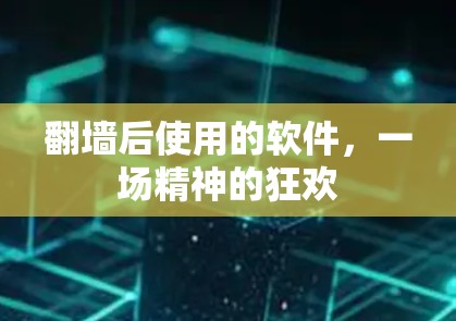 翻墙后使用的软件,一场精神的狂欢 翻墙后使用的软件,一场精神的狂欢