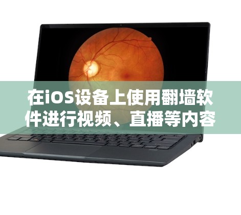在iOS设备上使用翻墙软件进行视频、直播等内容时，通常会使用第三方软件。以下是几种常见的翻墙软件及其特点
