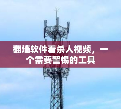 翻墙软件看杀人视频,一个需要警惕的工具 翻墙软件看杀人视频,一个需要警惕的工具