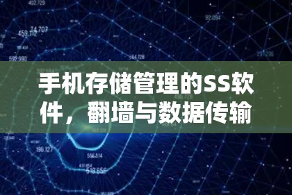 手机存储管理的SS软件,翻墙与数据传输 手机存储管理的SS软件,翻墙与数据传输