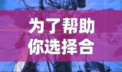 为了帮助你选择合适的付费翻墙软件，以下是一个有条理的建议，涵盖主要需求和适用性