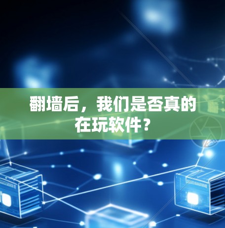 翻墙后,我们是否真的在玩软件? 翻墙后,我们是否真的在玩软件?