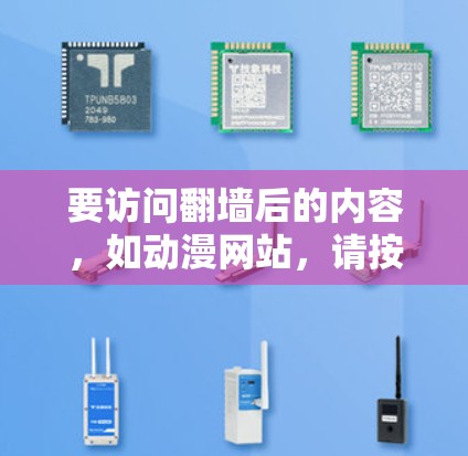 要访问翻墙后的内容,如动漫网站,请按照以下步骤操作 要访问翻墙后的内容,如动漫网站,请按照以下步骤操作