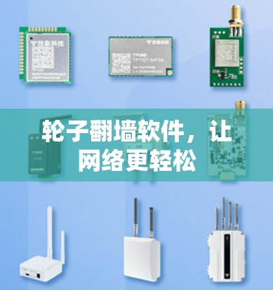 轮子翻墙软件,让网络更轻松 轮子翻墙软件,让网络更轻松