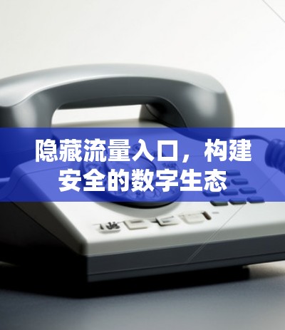 隐藏流量入口,构建安全的数字生态 隐藏流量入口,构建安全的数字生态