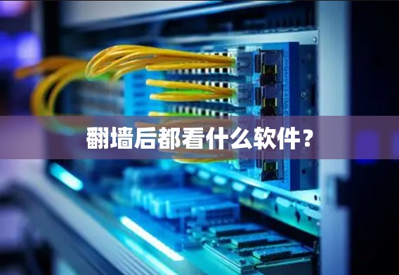 翻墙后都看什么软件? 翻墙后都看什么软件?