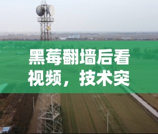 黑莓翻墙后看视频,技术突破,时代潮流 黑莓翻墙后看视频,技术突破,时代潮流