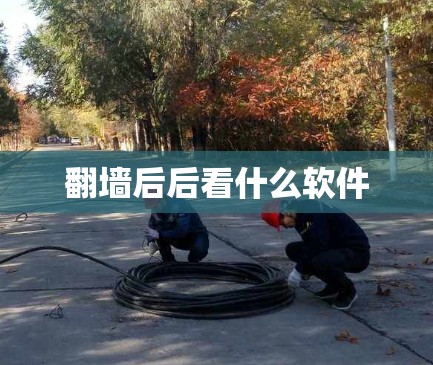 翻墙后后看什么软件 翻墙后后看什么软件
