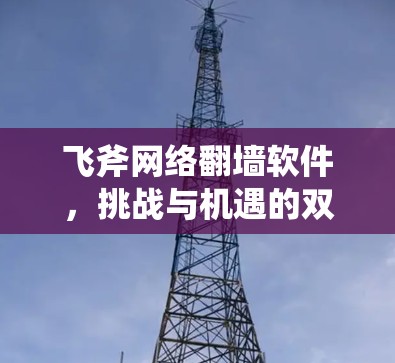飞斧网络翻墙软件,挑战与机遇的双重图景 飞斧网络翻墙软件,挑战与机遇的双重图景