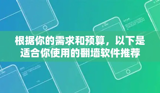 根据你的需求和预算,以下是适合你使用的翻墙软件推荐 根据你的需求和预算,以下是适合你使用的翻墙软件推荐