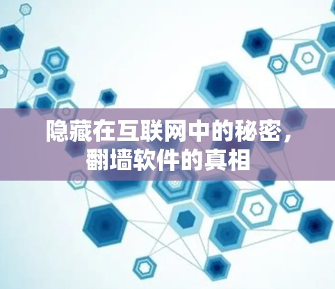 隐藏在互联网中的秘密,翻墙软件的真相 隐藏在互联网中的秘密,翻墙软件的真相