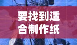 要找到适合制作纸飞机图片的翻墙软件,可以按照以下步骤进行 要找到适合制作纸飞机图片的翻墙软件,可以按照以下步骤进行