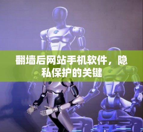 翻墙后网站手机软件,隐私保护的关键 翻墙后网站手机软件,隐私保护的关键