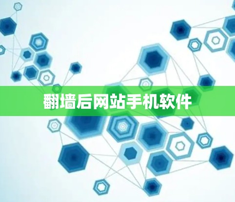 翻墙后网站手机软件 翻墙后网站手机软件