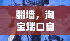 翻墙,淘宝端口自动切换的秘密武器—翻墙软件解析 翻墙,淘宝端口自动切换的秘密武器—翻墙软件解析