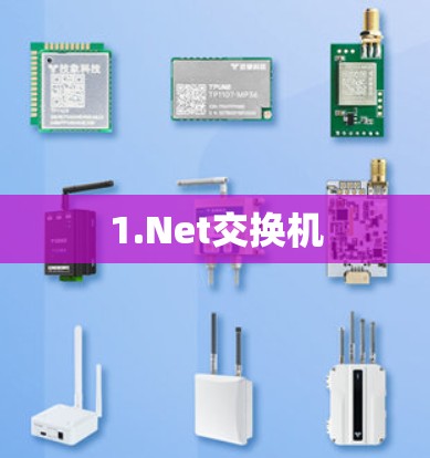 1.Net交换机 1.Net交换机