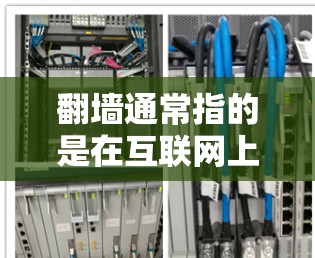 翻墙通常指的是在互联网上建立和管理物理墙,即将网站分隔成几个区域,每个区域只允许特定的访问者访问,以防止被非法传播的网站、暴力内容或不当信息进入。为了实现这一点,软件可能会使用翻墙工具或翻墙软件 翻墙通常指的是在互联网上建立和管理物理墙,即将网站分隔成几个区域,每个区域只允许特定的访问者访问,以防止被非法传播的网站、暴力内容或不当信息进入。为了实现这一点,软件可能会使用翻墙工具或翻墙软件
