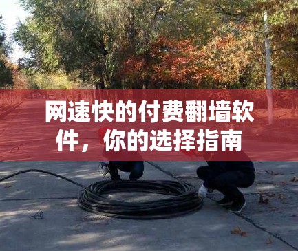 网速快的付费翻墙软件,你的选择指南 网速快的付费翻墙软件,你的选择指南