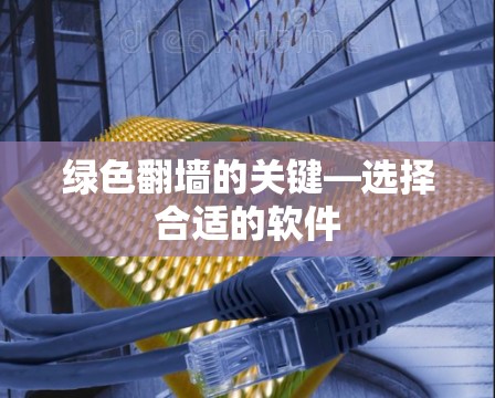 绿色翻墙的关键—选择合适的软件 绿色翻墙的关键—选择合适的软件