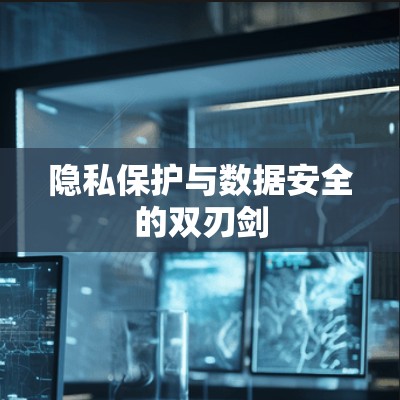隐私保护与数据安全的双刃剑 隐私保护与数据安全的双刃剑
