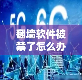 翻墙软件被禁了怎么办? 翻墙软件被禁了怎么办?