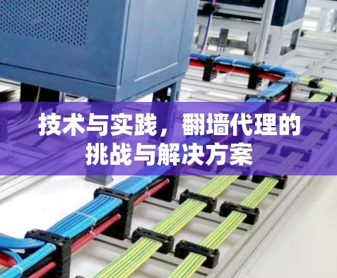 技术与实践,翻墙代理的挑战与解决方案 技术与实践,翻墙代理的挑战与解决方案