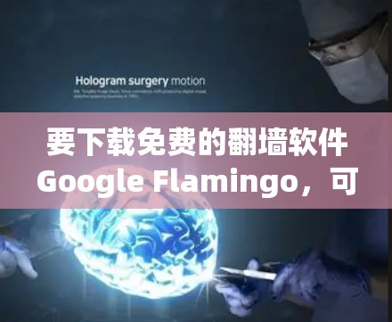 要下载免费的翻墙软件Google Flamingo,可以按照以下步骤进行 要下载免费的翻墙软件Google Flamingo,可以按照以下步骤进行